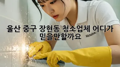 울산 중구 장현동 청소업체, 어디가 믿을만할까요?